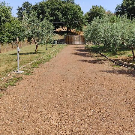 Il Melarancio B&B Monterosi المظهر الخارجي الصورة